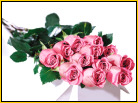 Pink Roses Flower Delivery