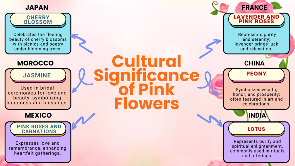 Cultural Significance of Pink Flower